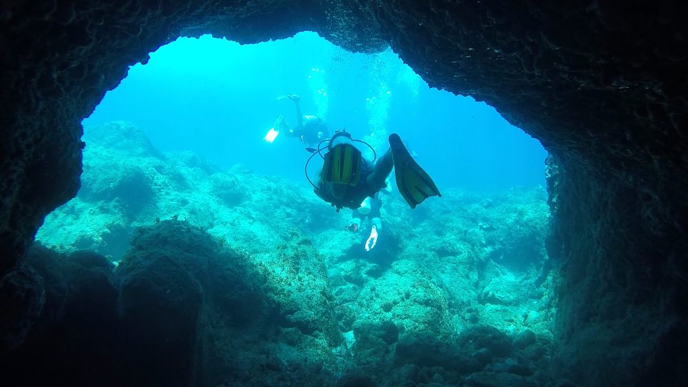 Diving Off the Coast of Desecheo Island