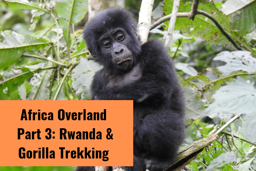 Africa Overland Part 3 Cover Image