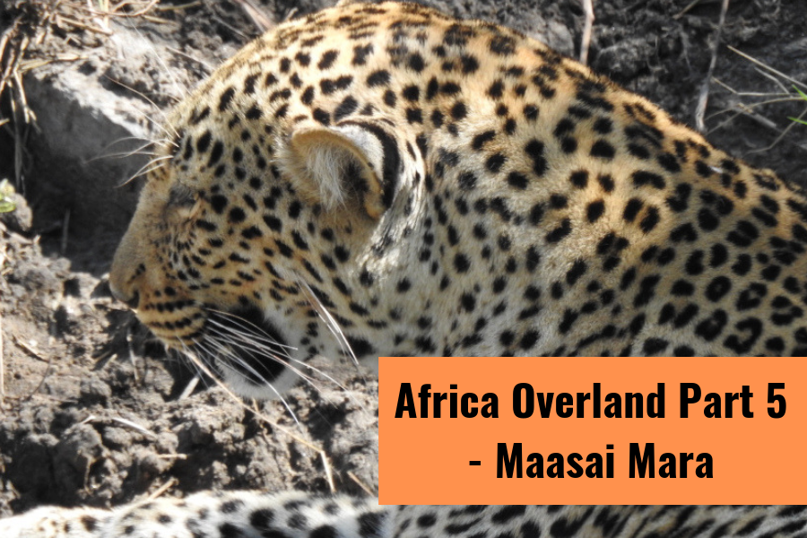 Maasai Mara Cover Image