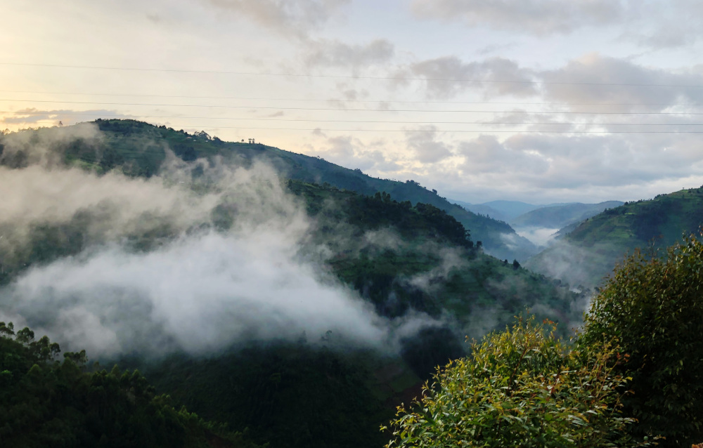 Uganda Mountains Bwindi