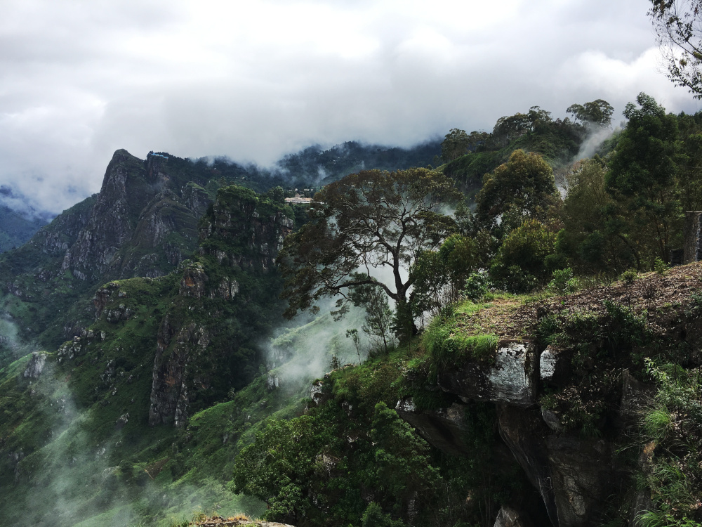 Usambara Mountains