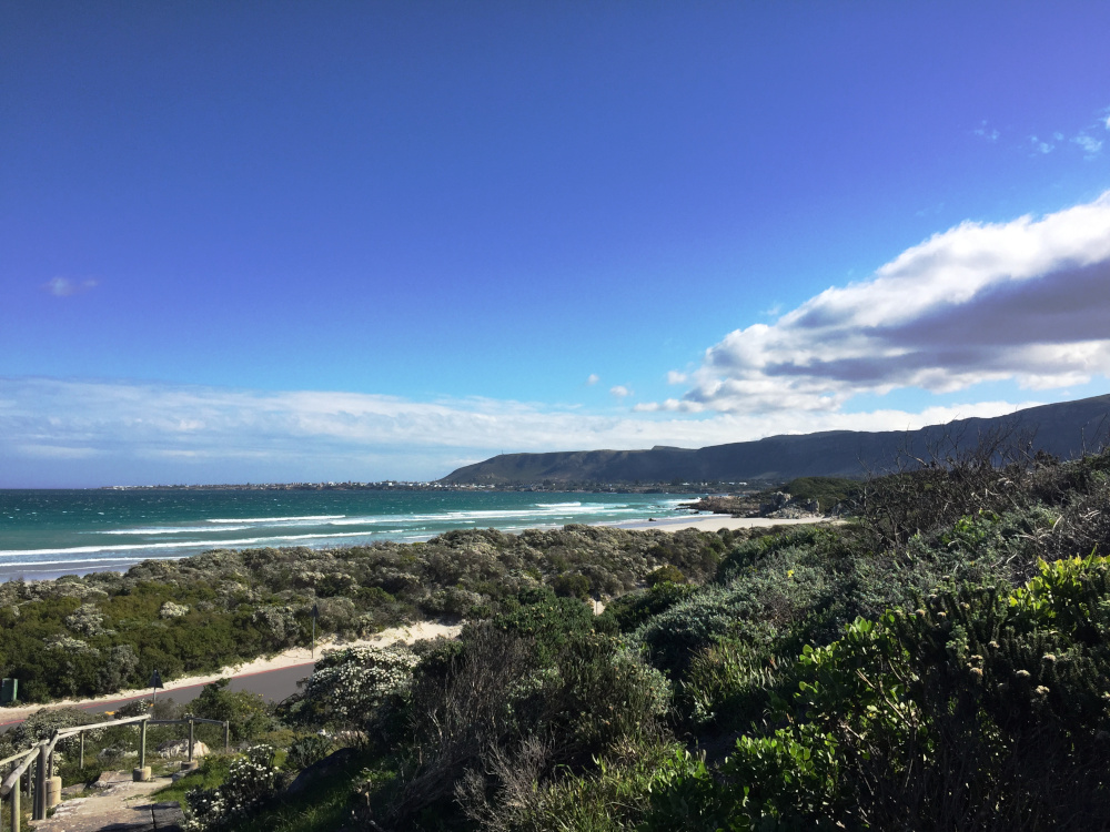 Near Grotto Beach in Hermanus