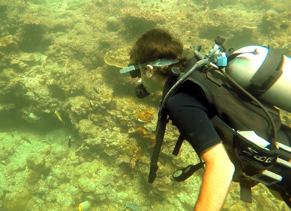 Rob Checking Out a Green Turtle