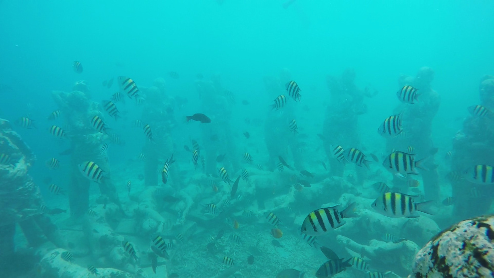 Underwater Sculpture at Gili Meno