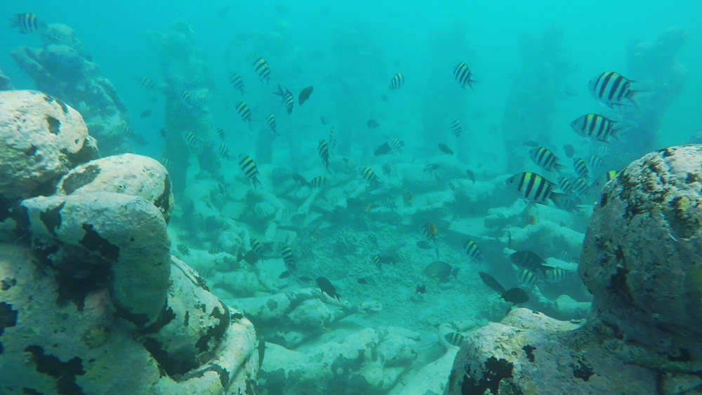 Underwater Sculpture at Gili Meno