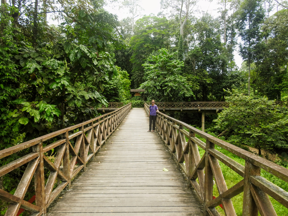 Boardwalk Entrance at Kawag Danum Rainforest Lodge