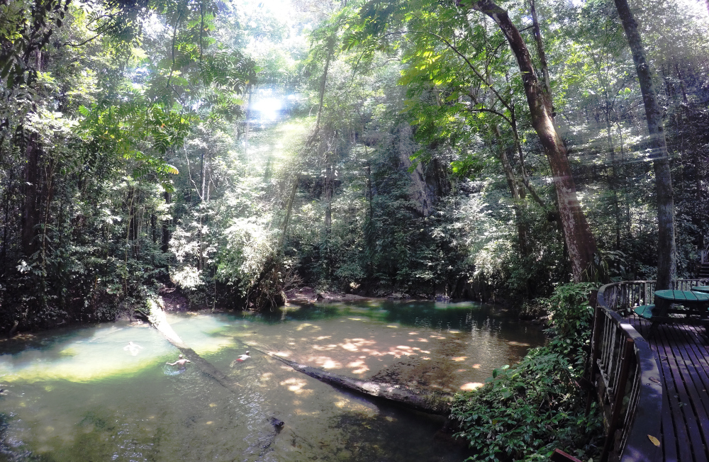 Clearwater Cave Mulu