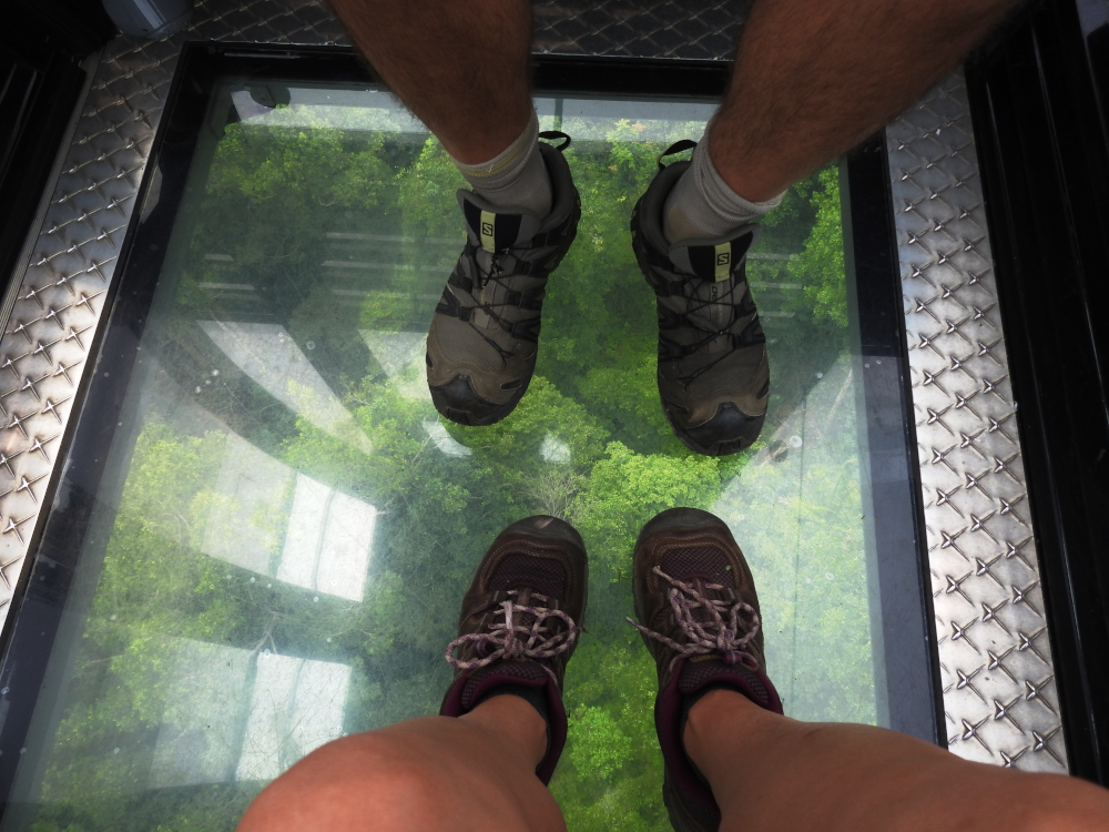 Glass Bottom Cable Car