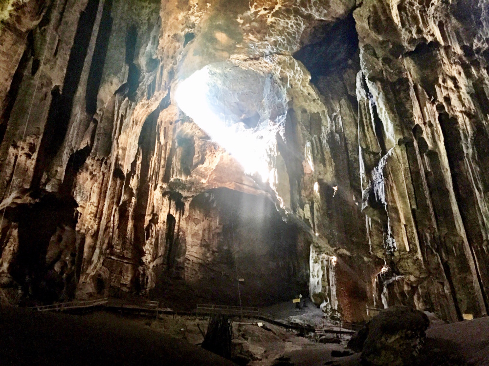 Gomantong Cave