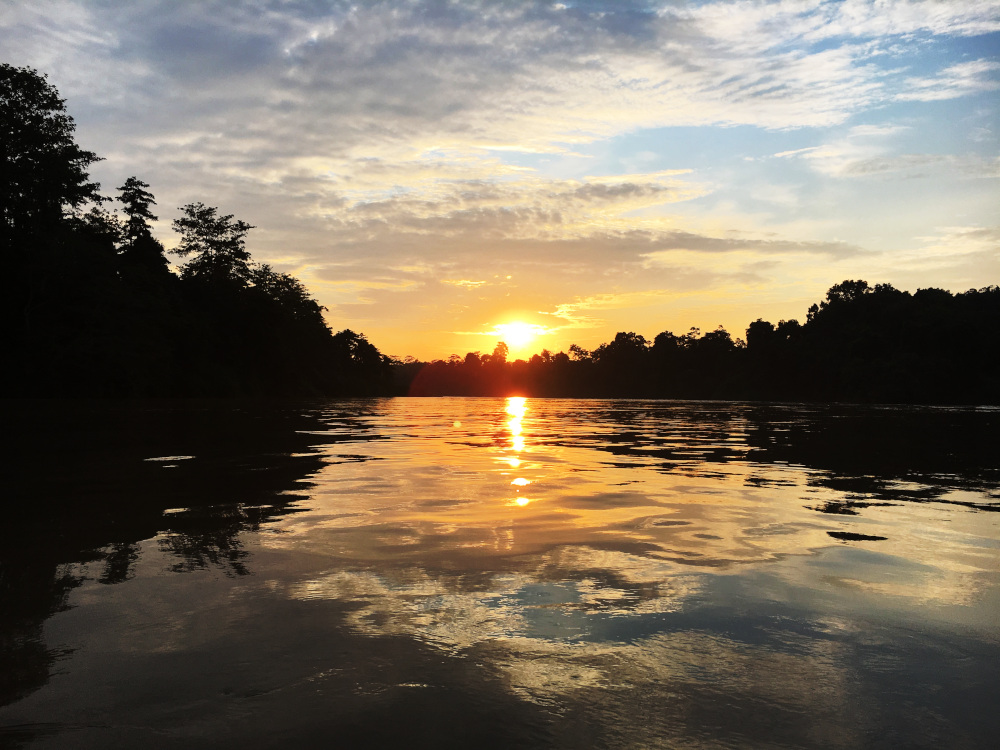 Kinabatangan River Sunset