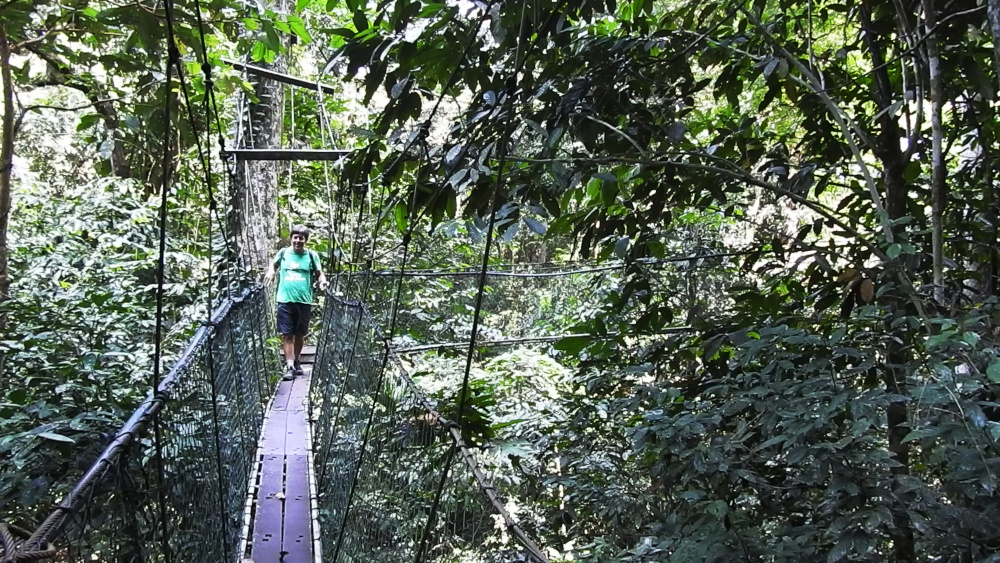 Mulu Canopy Skywalk