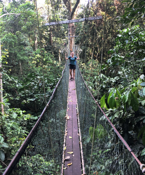 Gunung Mulu National Park Canopy Skywalk