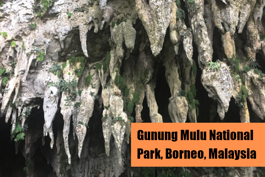 Mulu Caves Cover Image