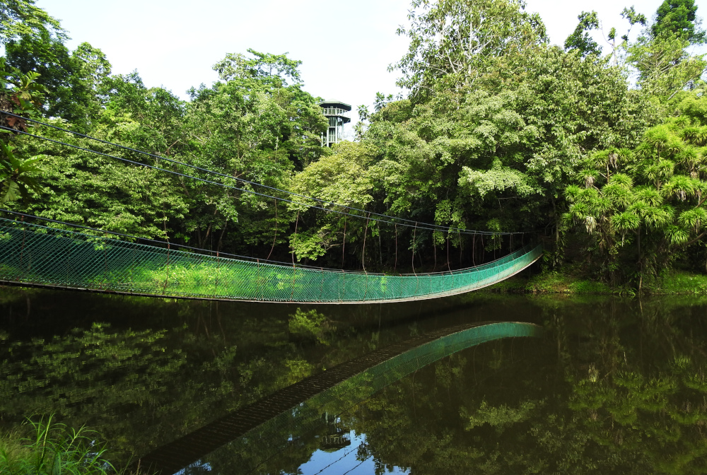 Rainforest Discovery Centre Lake