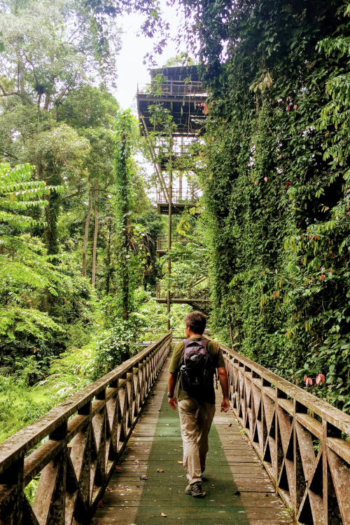 Walking Toward the Observation Tower 