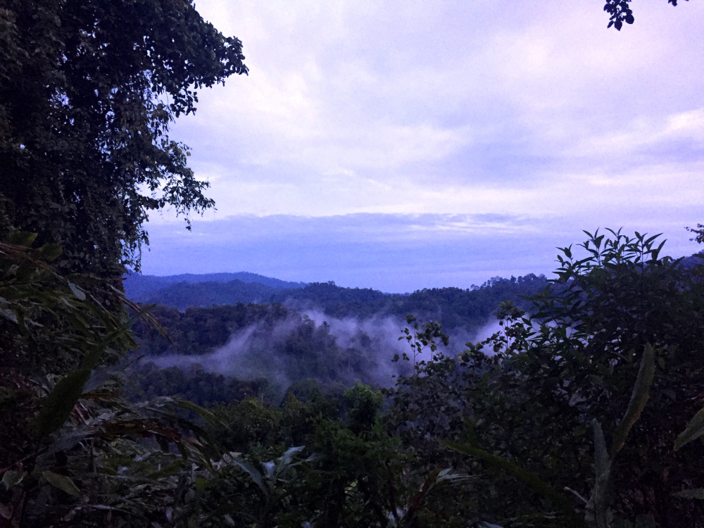 Sunrise Trek Viewpoint