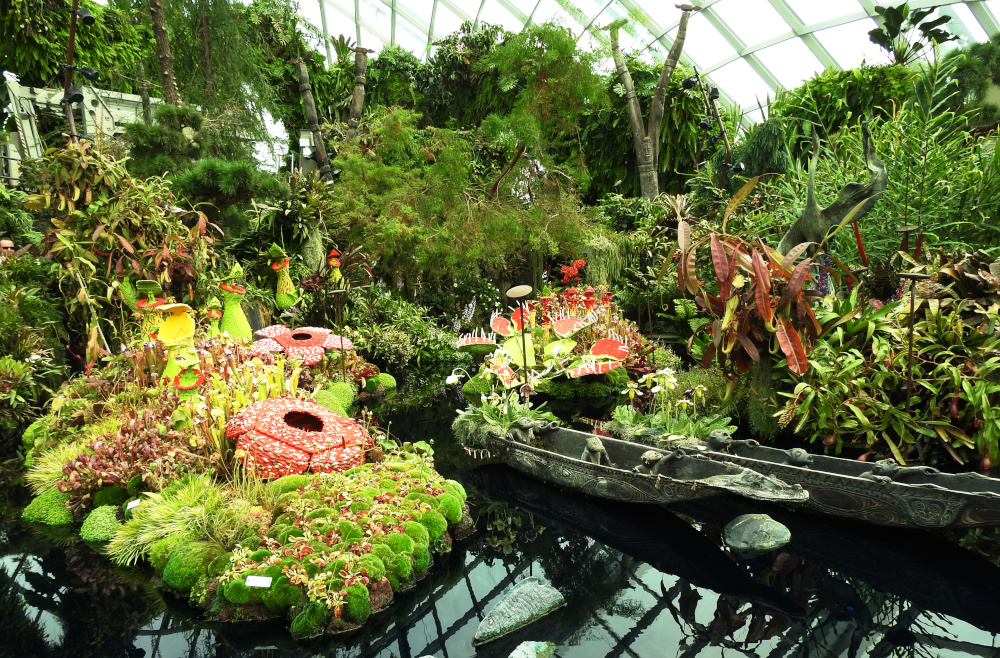 Lego Garden in the Cloud Forest