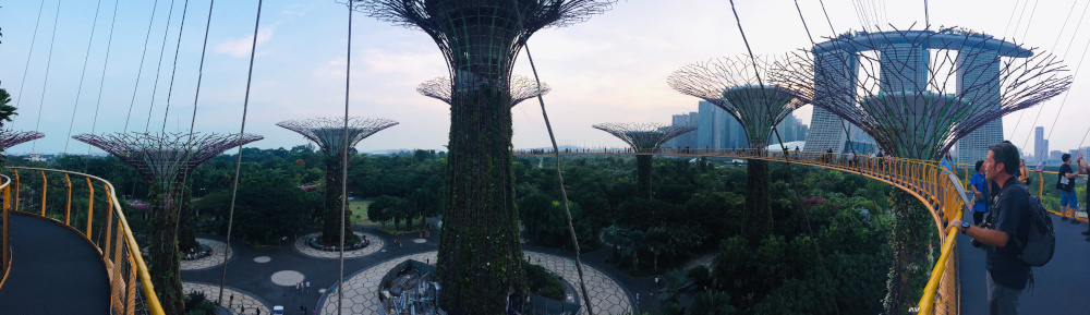 Supertree Grove Canopy Walk