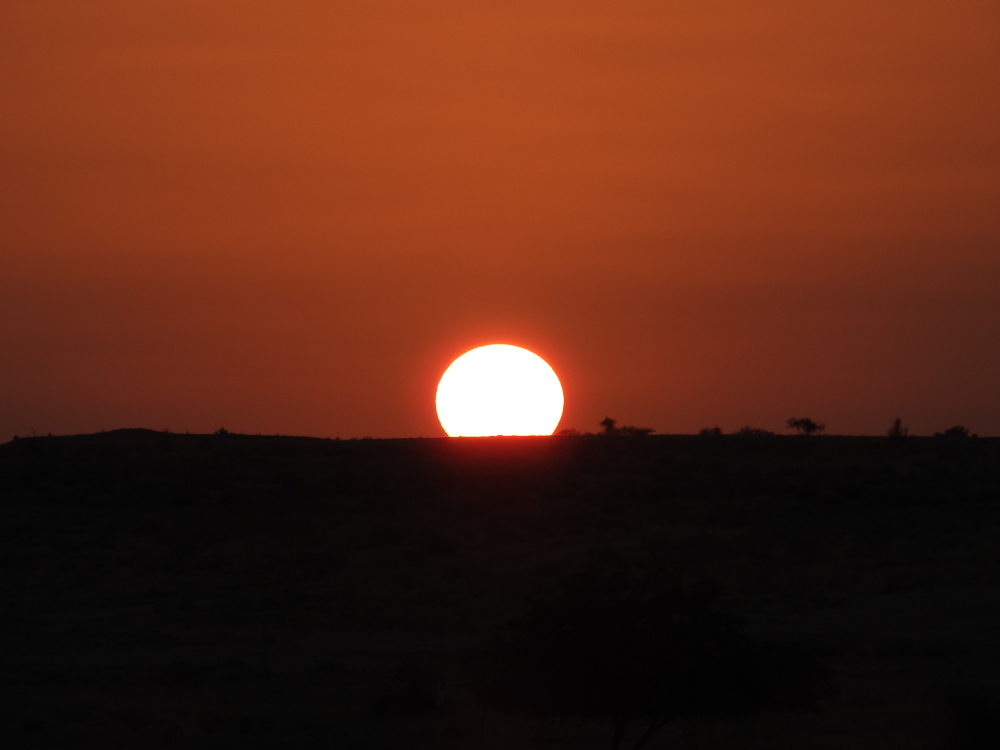 Thar Desert Sunset