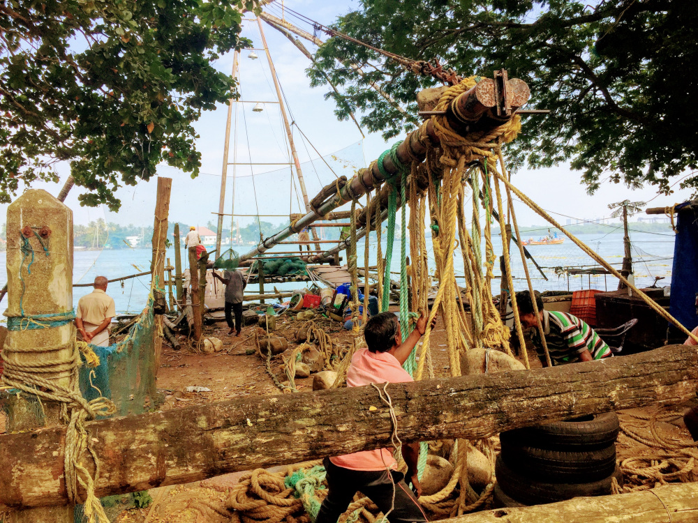 Kochi's Famous Chinese Fishing Nets
